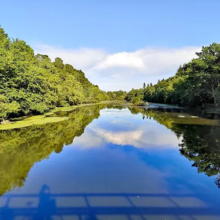 Chambre Privee Au Coeur De Belle Beille 酒店 昂热