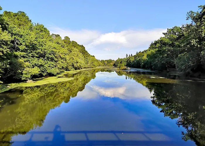 Chambre Privée Au Coeur De Belle Beille Hotel Angers