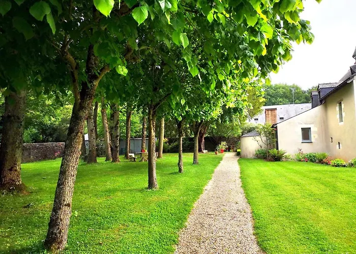 Chambre Privee Au Coeur De Belle Beille *