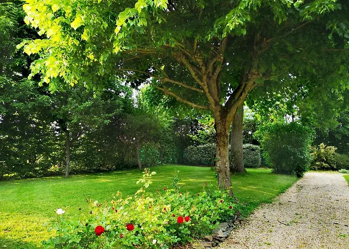Chambre Privée Au Coeur De Belle Beille