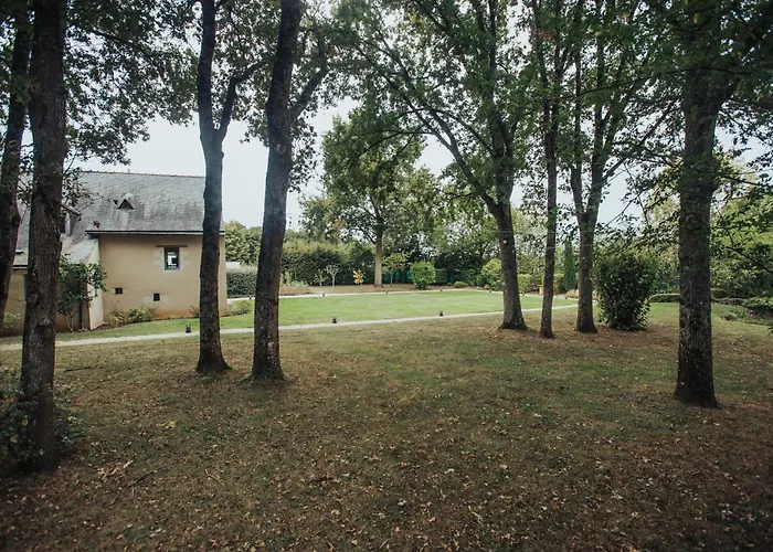 Otel Chambre Privee Au Coeur De Belle Beille